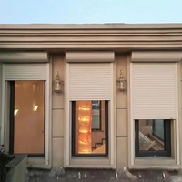 Fenêtre de volet roulant électrique télécommandée en alliage d'aluminium de conception moderne à l'épreuve des ouragans pour la surface finie de Vila