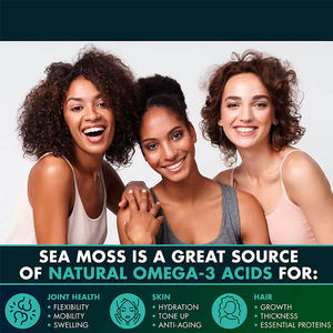 OEM Irish <strong>Sea</strong> <strong>Moss</strong> Advanced with Burdock Root Superfood <strong>Sea</strong> <strong>Moss</strong> Supplements Pill <strong>Sea</strong> <strong>Moss</strong> Capsules for Immunity, Gut, &amp; Energy - Product Image 2