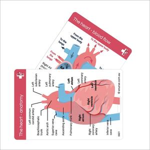 Tarjetas de referencia de plástico PVC con estampado personalizado, alta calidad, Hospital, enfermera, con agujero de cordón - Product Image 2