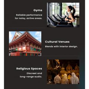 Sistemas de Altavoces de Columna Certificados EN54-24, Altavoz Line Array con Logotipo Personalizado, Alto Rendimiento SPL, Resistente al Agua y al Polvo IP66 - Product Image 4
