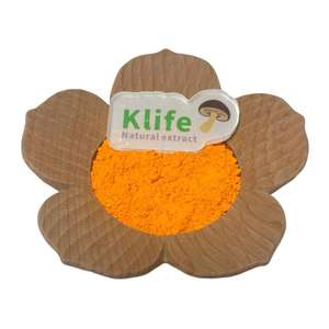 Poudre de riboflavine de vitamine B2 en vrac en gros Riboflavine-5-Phosphate Riboflavine Vitamine B2 - Product Image 1