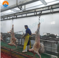 Ligne d'abattage de moutons modulaire mobile certifiée CE, système de convoyeur aérien conteneurisé, équipement d'abattoir halal