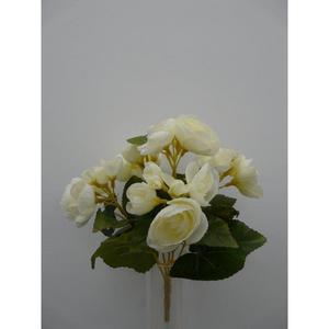 BEGONIA BUSH X5 CR - Product Image 1