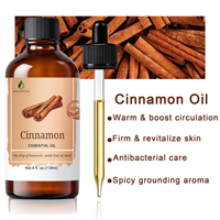 Usine d'huiles essentielles par distillation à la vapeur, huile essentielle d'écorce de cannelle de Ceylan biologique pour massage corporel |   Qualité thérapeutique 118 ml