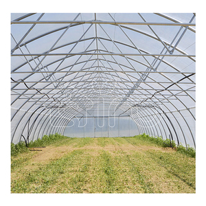 Chino Agri polytunnel lớn nhà kính bán nhiệt đới châu phi kim loại khung nhà kính nông nghiệp công nghệ cho nông nghiệp - Product Image 2