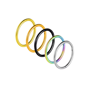 Aro para la Nariz Sin Costuras para Perforaciones Corporales |   Pendientes de Aro para Cartílago con Bisagras de Acero Inoxidable 316L, Anillo para Labio y Anillo para Septum - Product Image 1