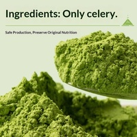 Poudre de céleri lyophilisée sauvage, personnalisation OEM sous marque privée, riche en fibres alimentaires, substitut de repas, 20 sachets de 5g