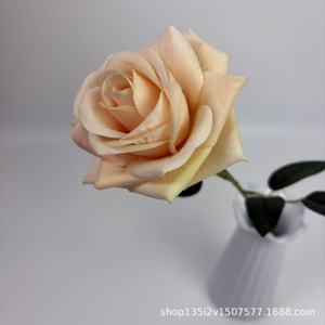 Flores Artificiales Qiye, Rosa de Terciopelo Grande, Decoración para Bodas y Hogar, Estilo Moderno y Romántico - Product Image 5
