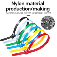 Attaches de câbles en nylon ignifuges détachables 8*250mm, réutilisables, fourniture directe d'usine, prix préférentiel