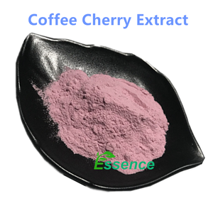 Estratto Naturale di Ciliegia del Caffè 10:1 Polvere di Estratto di Ciliegie del Caffè Essiccate - Product Image 2