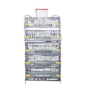 อุปกรณ์ฟาร์มเลี้ยง<span class=keywords><strong>ไก่</strong></span>และนกกระทาแบบ 5 ชั้น รุ่น H สำหรับ<span class=keywords><strong>ไก่</strong></span>ไข่ อะไหล่เครื่องจักรกลการเกษตร รับน้ำหนักได้ 40 กก. รับประกัน 1 ปี จากเหอเป่ย - Product Image 1