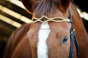 Leather Brow Band Diseños de lujo Todos los colores y tamaños personalizados Disponibles - Product Image 2