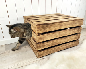 Moderne Bruine Houten Kattenbak Meubels Met Indoor Kattenhuis Bed Warme Huisdierenbedden Veilig Duurzaam Cattery Kattenhuis Binnen - Product Image 5