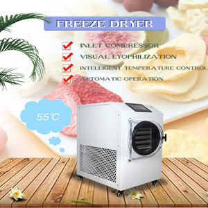 Máquina Popular de Liofilización de Alimentos Pequeños con PLC y Bomba de Vacío de Motor 110V/220V para Secado de Dulces, Vegetales, Frutas y Café - Product Image 5