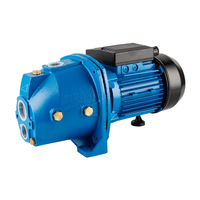 Pompe auto-amorçante à jet haute pression en fonte Forwater JDW 0.5HP pour le traitement de l'eau potable et l'alimentation en eau des puits profonds