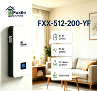 Batterie LiFePO4 murale 51,2 V 200 Ah 10,24 kWh, IP65, avec BMS intégré, 6000 cycles, RS485 CAN RS232, pour stockage d'énergie solaire domestique