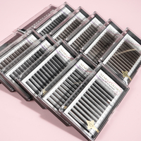 Extensions de cils Clover à double pointe marron mat, naturelles et douces, YY 3D 4D 5D 6D, éventails de volume préfabriqués en forme de W, 0.07 D Curl, plateau mixte