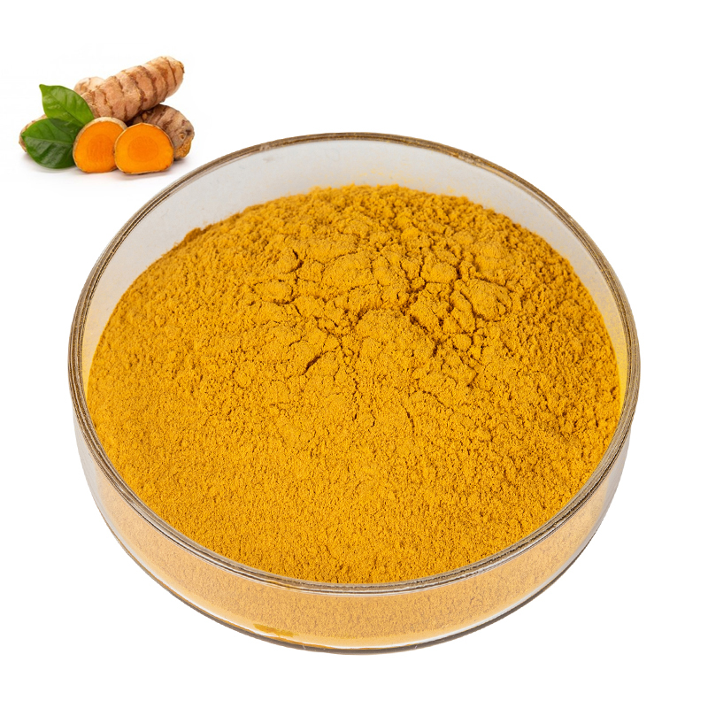 Plant Extract Natural Curcumin Turmeric Root Extract 10:1 For Health Food Powder