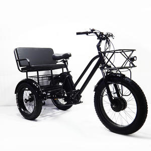 <span class=keywords><strong>Tricycle</strong></span> électrique à pneus gras de 24 pouces 750W, <span class=keywords><strong>tricycle</strong></span> cargo à <span class=keywords><strong>assistance</strong></span> au pédalage à double siège pour adultes et promenades en famille - Product Image 1