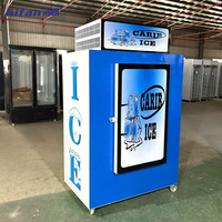 Congélateur commercial à porte pleine pour glaçons, avec stockage de glace en sacs, pour la conservation de la glace et la vente en profondeur