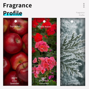 VILILY B119 <span class=keywords><strong>Perfume</strong></span> Hombre Original para Hombre Parfum Homme 38ml Verde Aromático Perfumes De Hombre - Product Image 2