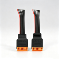 Câble d'extension d'équilibrage pour modèle RC 10cm 20cm 30cm 50cm JST-XH 2-6S compatible avec batterie LiPo 8S pour drone FPV Pièces RC