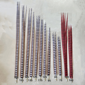 Plumas Artificiales Largas de Faisán, Colas de Faisán Teñidas y Blanqueadas de Fábrica, Plumas de Cola de Faisán Reeves Grandes y Económicas, Plumas de Faisán - Product Image 6