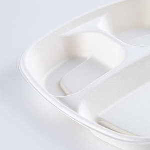 <strong>Biodegradable</strong> <strong>Disposable</strong> Box Ecopack Bio Degradable Packaging Sugarcane Tableware <strong>Tray</strong> Bagasse Food Container - Product Image 4