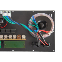 Vente en gros usine Carte mère d'amplificateur audio 200W DC12V AC220V pour karaoké sans fil avec USB, TF, FM, Enregistrement, Égaliseur, Delay, Écho