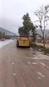 Reliable 2000kg Internal Combustion <b>Forklift</b> with 3000mm Mast and 85kW Power for Factory and Construction Material Handling - Product Image 6