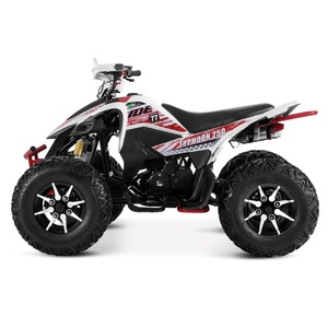 Tao Motor 2025 Nouvelle Quadricycle à transmission manuelle 250cc <span class=keywords><strong>4x4</strong></span> ATV - Product Image 3