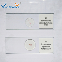 Medical Science Parasitology Student Training Microscope Prepared Slides Parasitology Slides Microscope Prepared Slides