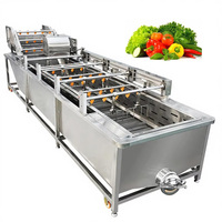 Industriële Verse Groente Fruit Reiniging Drogen Verwerking Machines Droge Data Wasmachine Voor Verkoop