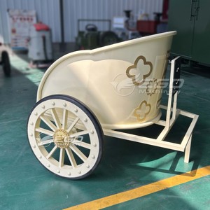 Voiturette électrique à deux roues personnalisée pour le tourisme - Product Image 2