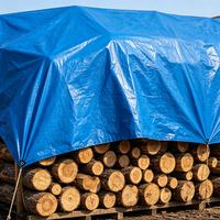 Bâche imperméable renforcée à multiples œillets pour grande surface, idéale pour abri événementiel, bassin à poissons, couverture de camion, remorque et protection de marchandises