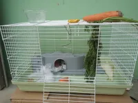 Cage pour petits animaux Cage pour hamster en métal 60cm avec accessoires