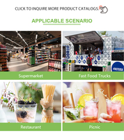 Pailles jetables en bagasse de canne à sucre en gros, divers diamètres, 100 % biodégradables pour cafés et bars, directement de l'usine