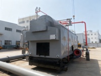 Chaudière à vapeur industrielle à grille horizontale fixe pour biomasse, machine à briquettes, chaudière à bois DZH