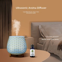 Mini humidificateur d'air ultrasonique pour bureau, dortoir, chevet ; vaporisateur d'aromathérapie compact, rechargeable en voiture ; portable, bruit de 36 dB