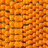Guirlande de fleurs de marigold artificielles, feuilles vertes, décoration suspendue pour mariages indiens et fêtes, best-seller