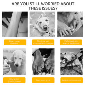 LILIPRO PG100 מקצועי, מטחנת ציפורניים לחיות מחמד נטענת, דו-מהירויות, שקטה, אלחוטית, לטחינת ציפורני כלבים, קלה לשימוש, חותך ציפורניים לחתולים - Product Image 6