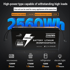 Lvyuan penjualan terlaris baterai Ion litium 25.6V baterai penyimpanan energi 24V 100Ah baterai LifePo4 dengan BMS - Product Image 3