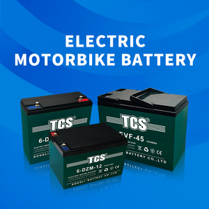 TCS Hot Sell 6-DZM-20 <b>12V</b> 22AH Bike <b>Battery</b> for Bike <b>Battery</b> - Product Image 2