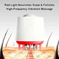 Peigne LED de Thérapie par Lumière Rouge avec Massage du Cuir Chevelu, Bouteille d'Huile Capillaire pour la Croissance et Anti-Chute, Peigne Électrique