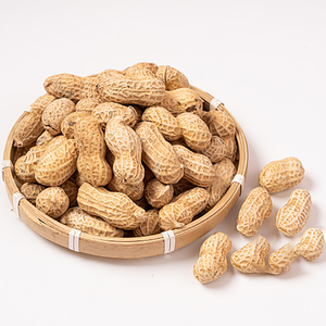 Nueva Temporada, Cacahuetes Crudos <span class=keywords><strong>con</strong></span> Cáscara de Grado 3A, Modelo 2025, 11/13, 9/11 |   Crujiente |   Empaquetado al por Mayor y al Detal - Product Image 3