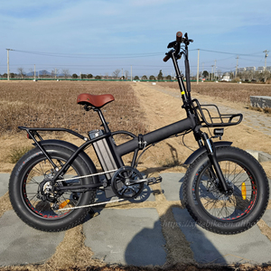 Vélo <span class=keywords><strong>pliant</strong></span> électrique Offre Spéciale 750W 20 pouces gros pneu vélo pliable électronique neige/plage nouveau vélo E - Product Image 3