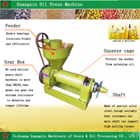 Prensa de Aceite Semiautomática de 3 Toneladas por Día, Prensado en Frío y Caliente, Extractor para Pequeños Negocios, Soja, Nuez, Sésamo, Alta Eficiencia, Carbono