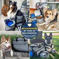 Sac à dos de voyage pour animaux de compagnie, sacoche pour chiens et chats, accessoires de voyage, respirant et à côté souple, bleu