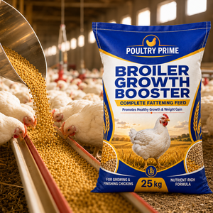 Aditivo <span class=keywords><strong>para</strong></span> Alimento de Aves de Corral con Aminoácidos de Grado Alimenticio, el Más Vendido, <span class=keywords><strong>para</strong></span> un Crecimiento Rápido y Aumento de Peso en Pollo de Engorde, Polvo Marrón, 2 Años - Product Image 1