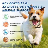 Pevet GMP Factory OEM&ODM Protection fonctionnelle personnalisée du tractus digestif Réduction des allergies alimentaires Bien-être intestinal quotidien pour animaux de compagnie